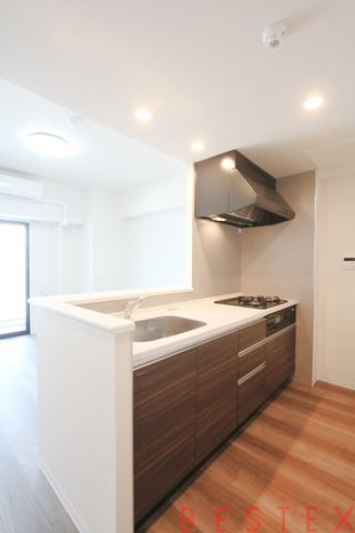 Alivis本郷三丁目 1002