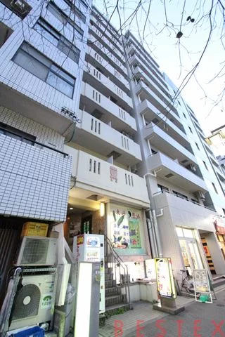 キャッスルマンション根津 10階