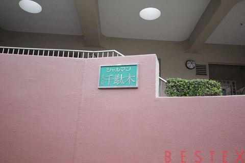 シャルマン文京千駄木　5階