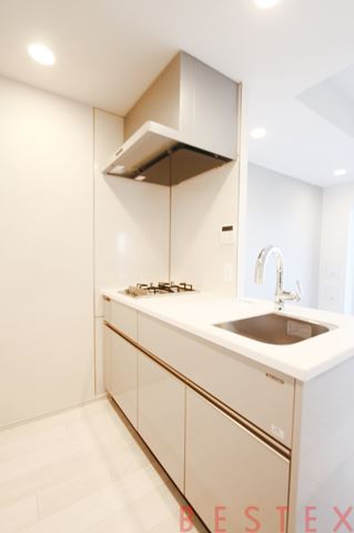 ルフォンプログレ本郷三丁目 604