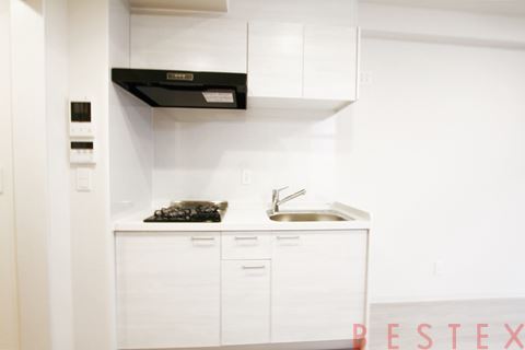 デュオメゾン文京白山 301