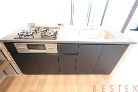 ザ・ライオンズフォーシア文京湯島 1401