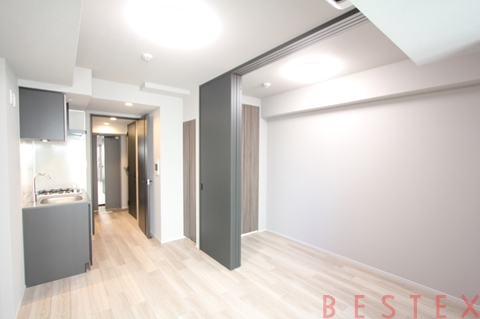 ザ・ライオンズフォーシア文京湯島 801