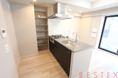 ザ・ライオンズフォーシア文京湯島 804