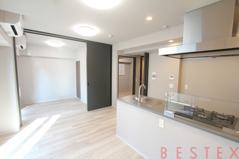 ザ・ライオンズフォーシア文京湯島 804