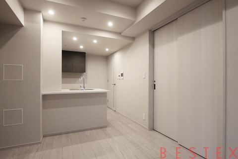 ザ・パークハビオ本郷菊坂 304