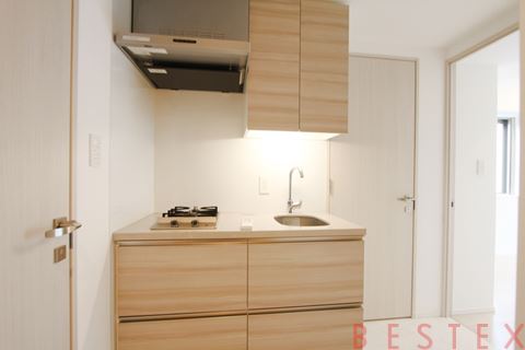 ザ・パークハビオ文京目白台プレイス 303