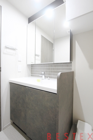 ザ・パークハビオ本郷菊坂 501