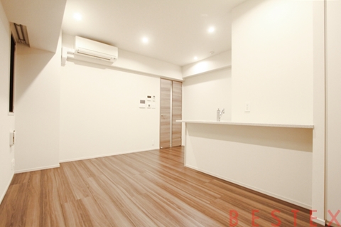 カーサスプレンディッド小石川 201