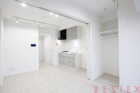 ルミーク文京湯島 301