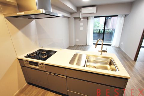 ディアナコート小石川播磨坂レジデンス 2階