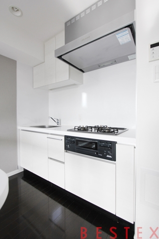 スカイコート本郷東大前弐番館 1303