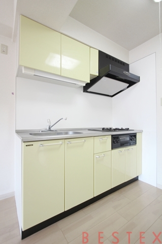 ルーチェ茗荷谷 507