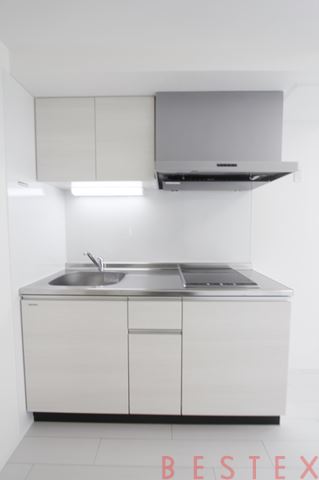 レピュア本郷レジデンス 302