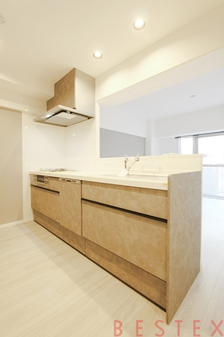 朝日江戸川橋マンション 906