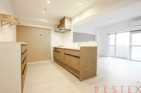 朝日江戸川橋マンション 906