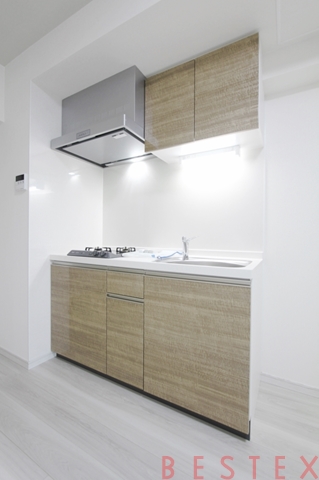 アイルプレミアム本駒込 1002