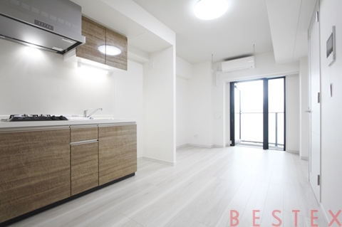 アイルプレミアム本駒込 1002