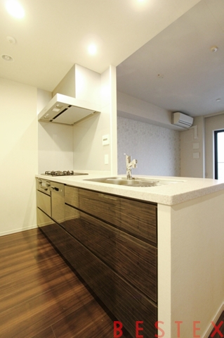 シティハウス本郷三丁目 1403