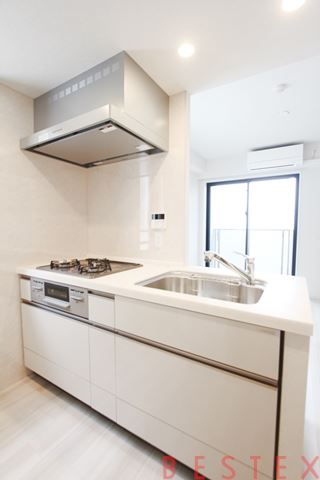 リビオメゾン湯島　404