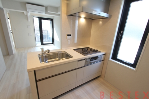 リビオメゾン湯島 501