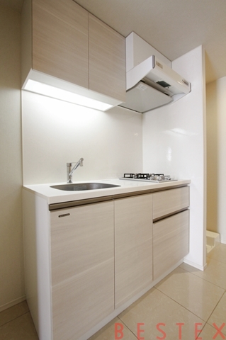 カーサスプレンディッド小石川 205