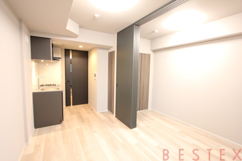 ザ・ライオンズフォーシア文京湯島 802