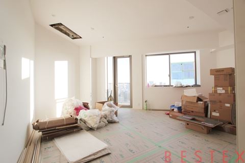 ルネッサンスタワー上野池之端 31階