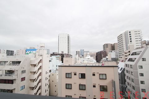 ディアナコート文京本郷台 8階