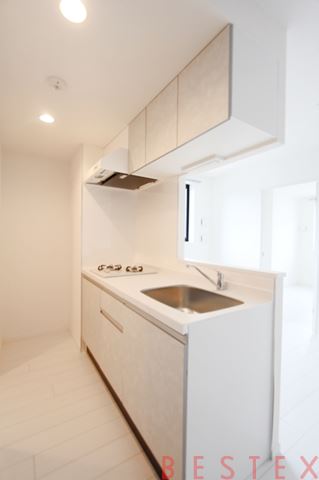 エルファーロ神楽坂Ⅲ 501