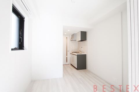 リビオメゾン湯島 201