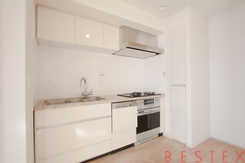 Brillia東大前 502