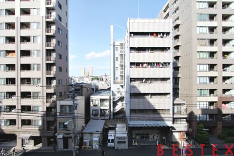 プレジデントハイツ根津 5階