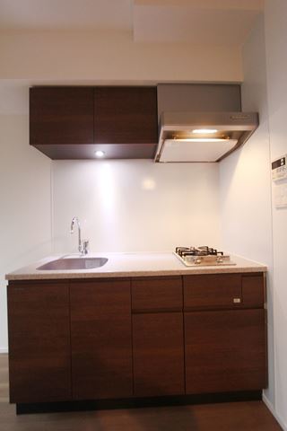 エルスタンザ文京根津 401