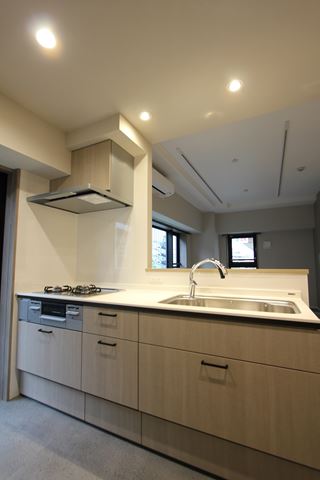 ラチューン文京小石川 401